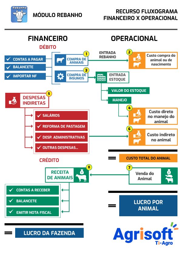 Módulo Rebanho: Fluxograma Financeiro x Operacional